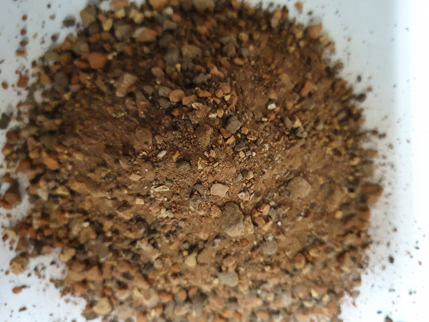 Halverood Plus 0-4.jpg